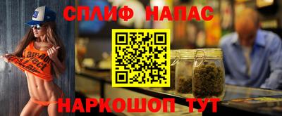 мдпв Гусев