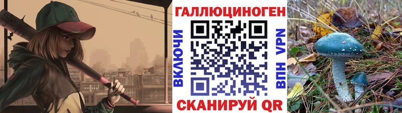 Псилоцибиновые грибы Psilocybe  MEGA сайт  Кириши 