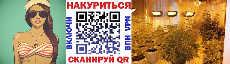 Канабис OG Kush даркнет сайт Кириши