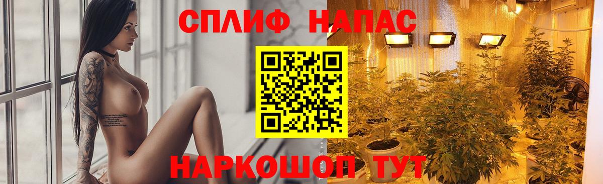 Кириши  Бошки марихуана гибрид  Вход с VPN  Каннабис Ganja 